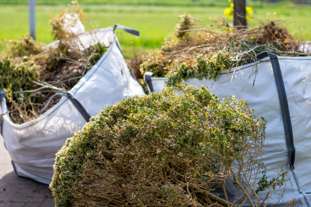 Property Management Cleanouts in Red Lodge, MT